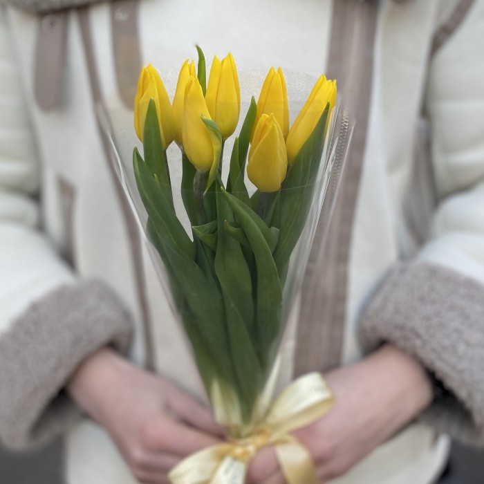 7 желтых тюльпанов в пленке